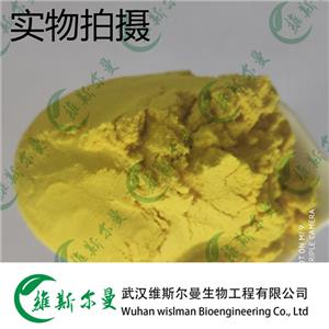 叶酸 59-30-3 维斯尔曼生物高纯试剂 13419635609