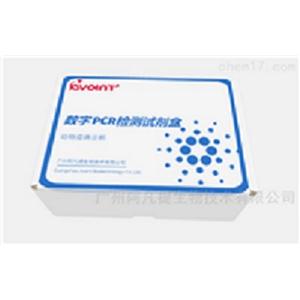 猪病类数字PCR检测试剂盒