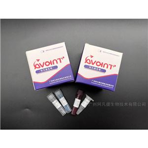 禽病类PCR检测试剂盒