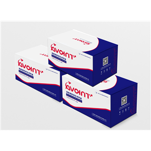 核酸提取试剂盒（磁珠法）