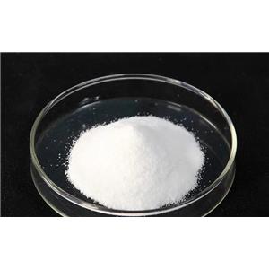 3-氨基-5-巯基-1,2,4-三氮唑    16691-43-3   99%
