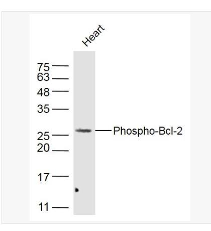 搜狗截图23年04月21日1618_101.png 搜狗截图23年04月21日1618_101.png