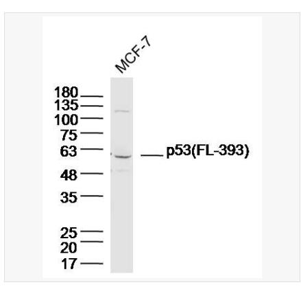 搜狗截图23年04月21日1632_106.png 搜狗截图23年04月21日1632_106.png