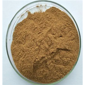 7790-33-2；碘化锰(II)