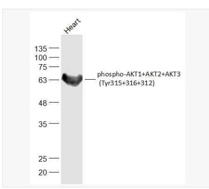 搜狗截图23年05月09日1048_16.png 搜狗截图23年05月09日1048_16.png