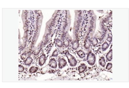 搜狗截图23年05月10日2138_78.png 搜狗截图23年05月10日2138_78.png