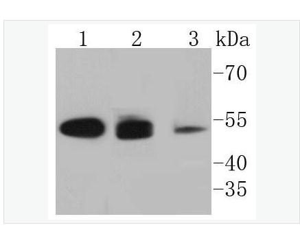 搜狗截图23年05月10日2206_88.png 搜狗截图23年05月10日2206_88.png