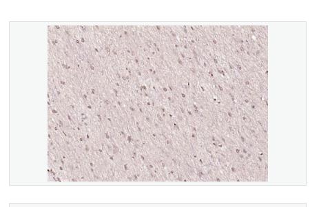 搜狗截图23年05月10日2222_94.png 搜狗截图23年05月10日2222_94.png