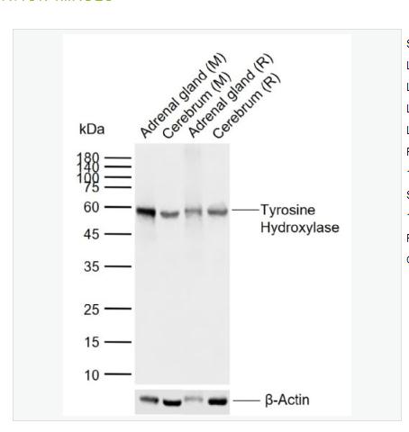 搜狗截图23年05月11日0705_99.png 搜狗截图23年05月11日0705_99.png