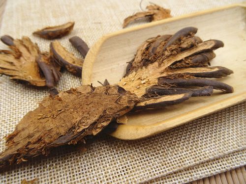 紫萁贯众黄酮皂苷多糖多酚生物碱挥发油定制及检测