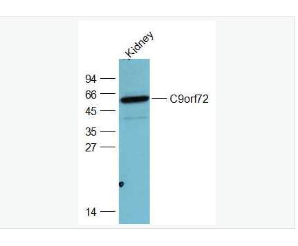 搜狗截图23年05月12日1501_281.png 搜狗截图23年05月12日1501_281.png