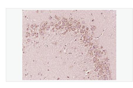 搜狗截图23年05月17日0957_427.png 搜狗截图23年05月17日0957_427.png