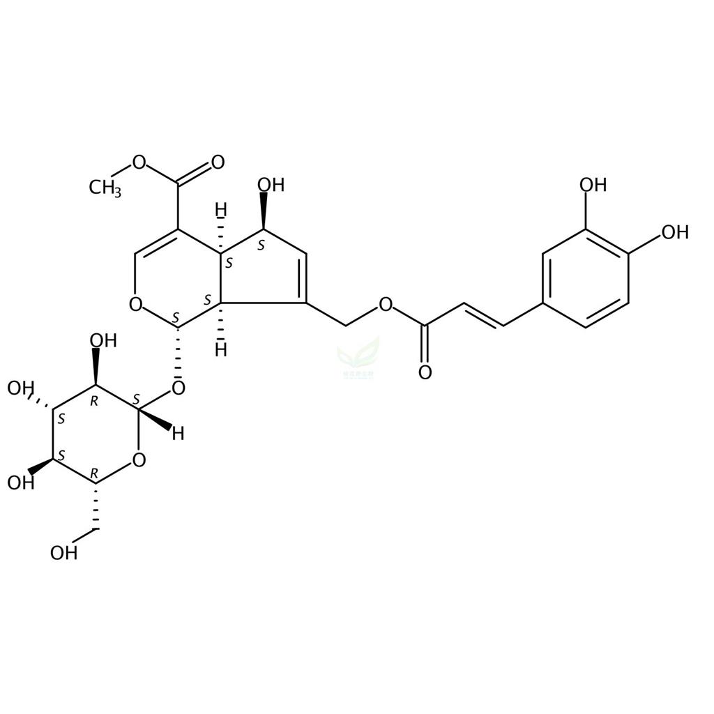 10-O-咖啡酰基-脱乙酰基交让木苷