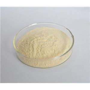 1-氨基海因盐酸盐   2827-56-7   98%