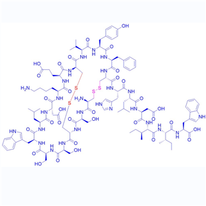 内皮素-2/123562-20-9/Endothelin 2 (human, canine)