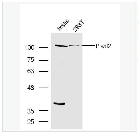 搜狗截图23年06月19日0940_9.png 搜狗截图23年06月19日0940_9.png