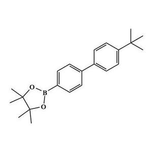 4'-叔丁基-[1,1'-联苯]-4-硼酸频哪醇脂；1080642-61-0