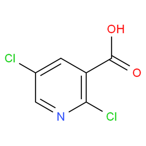 2,5-二氯烟酸 59782-85-3