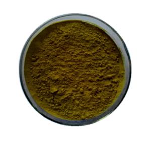 SC优势原料竹叶提取物黄铜20%24%UV