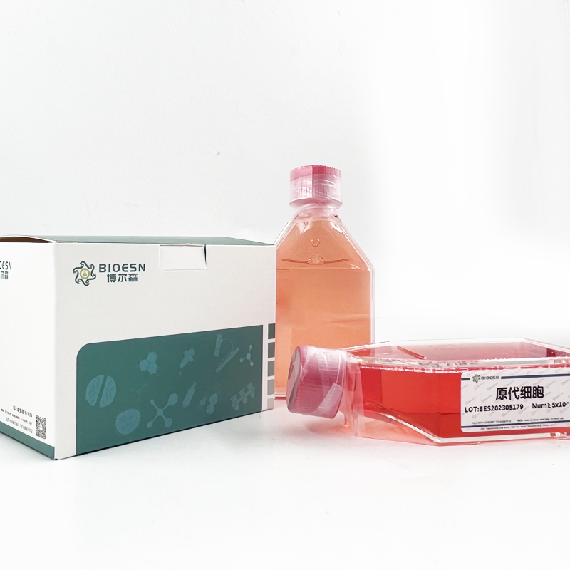 大鼠多药耐药关联蛋白1(MRP1) ELISA Kit