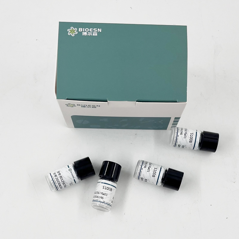 Human膜联蛋白A4(ANXA4) ELISA Kit