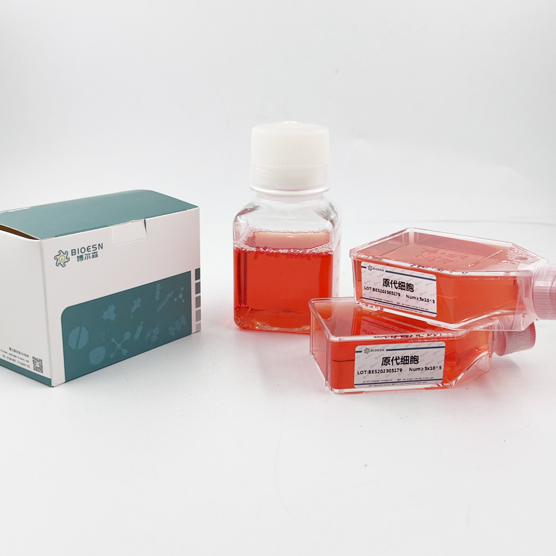 维生素K1(VK1) ELISA Kit