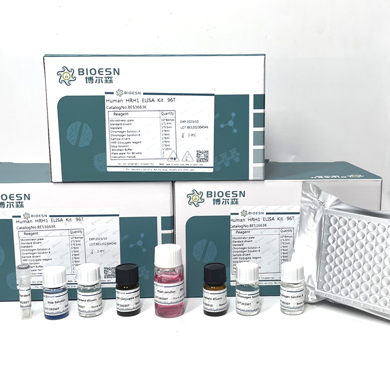 Human甲状旁腺激素(PTH) ELISA Kit