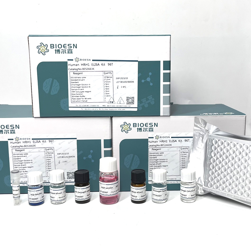小鼠神经肽Y(NPY) ELISA Kit
