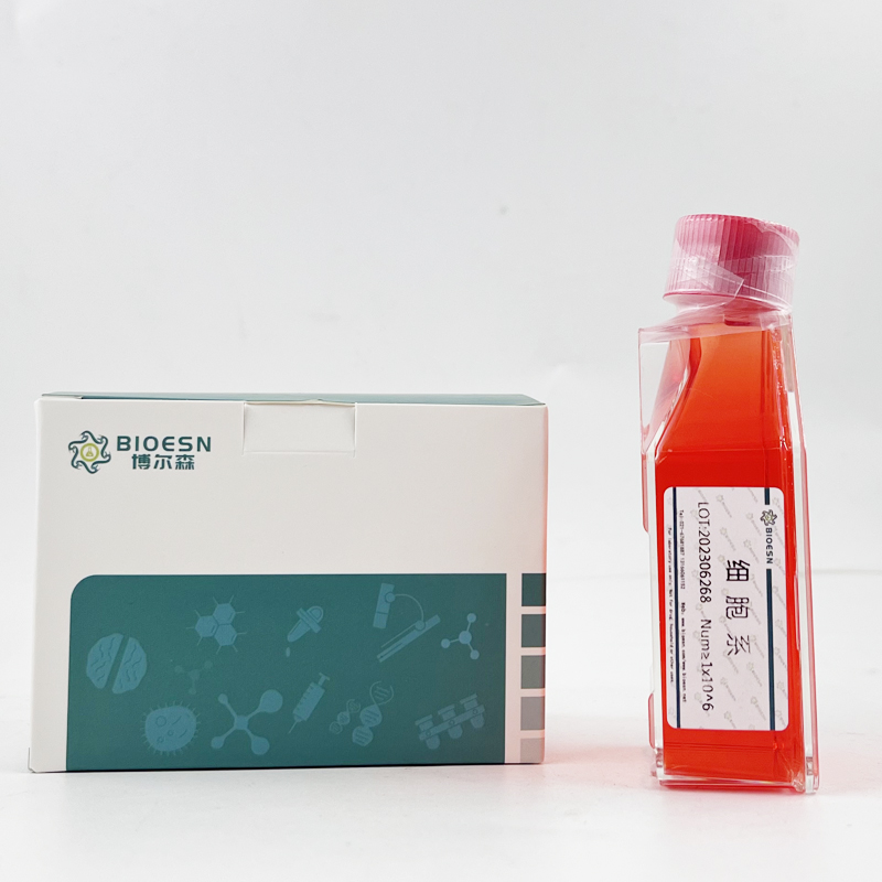 Human斯钙素2(STC2) ELISA Kit