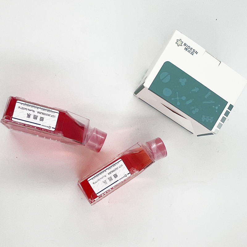 Human保护素(CD59) ELISA Kit