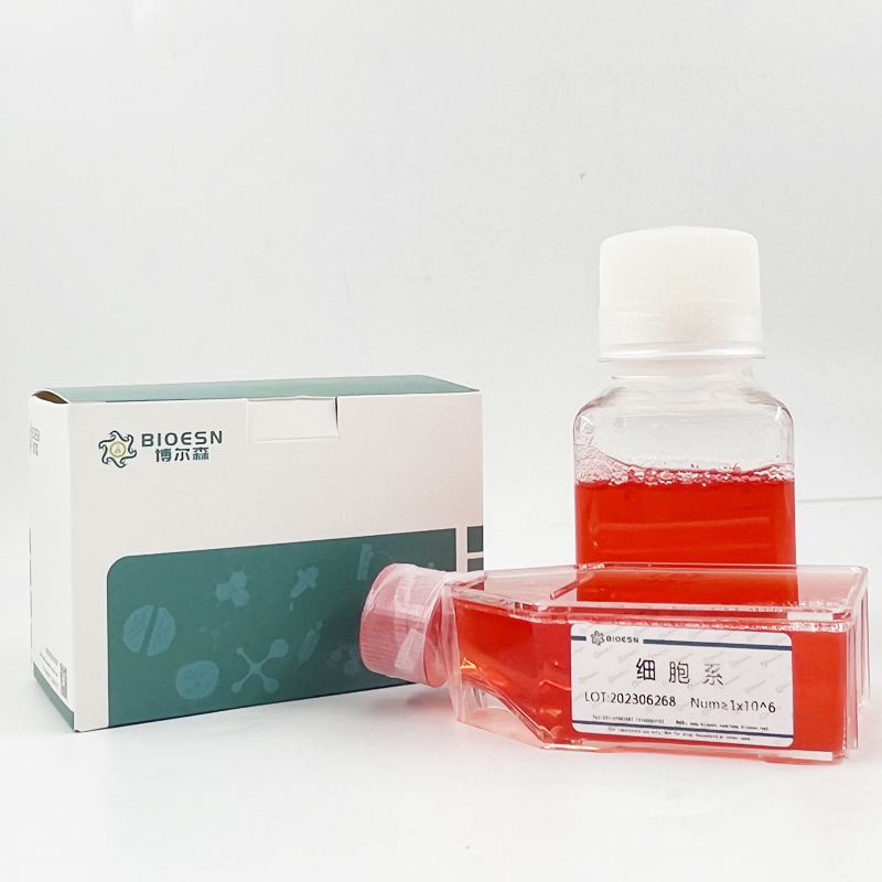 小鼠核仁素(NCL) ELISA Kit