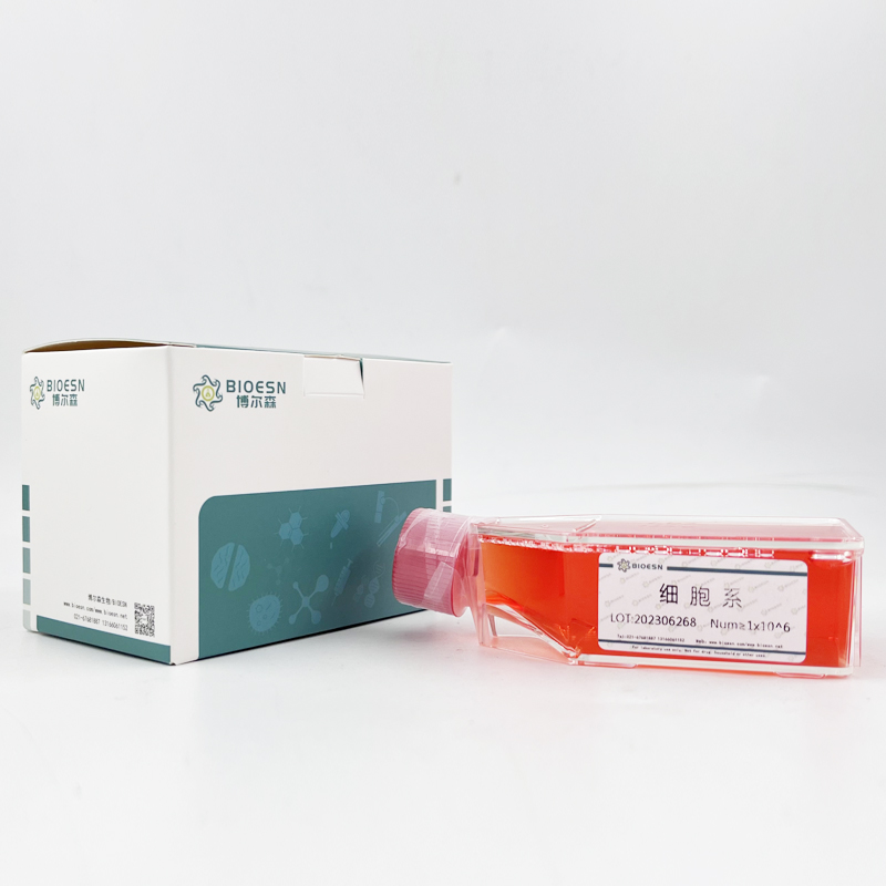 Human粘蛋白1(MUC1) ELISA Kit