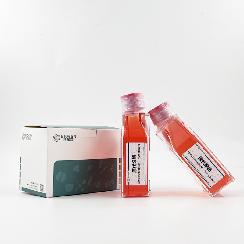 牛黄嘌呤脱氢酶(XDH) ELISA Kit