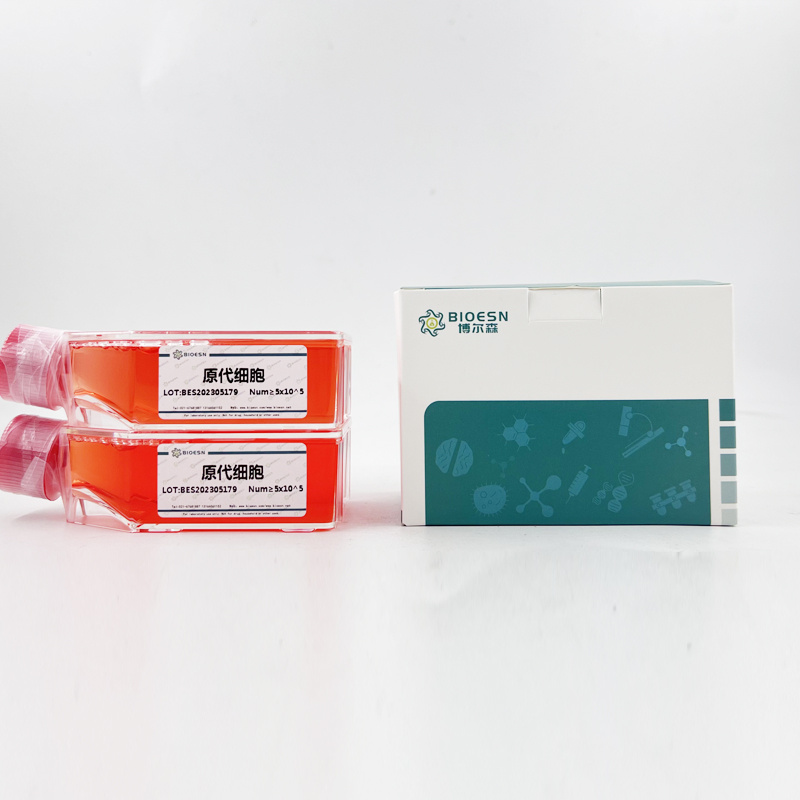 大鼠肝脏磷酸果糖激酶(PFKL) ELISA Kit