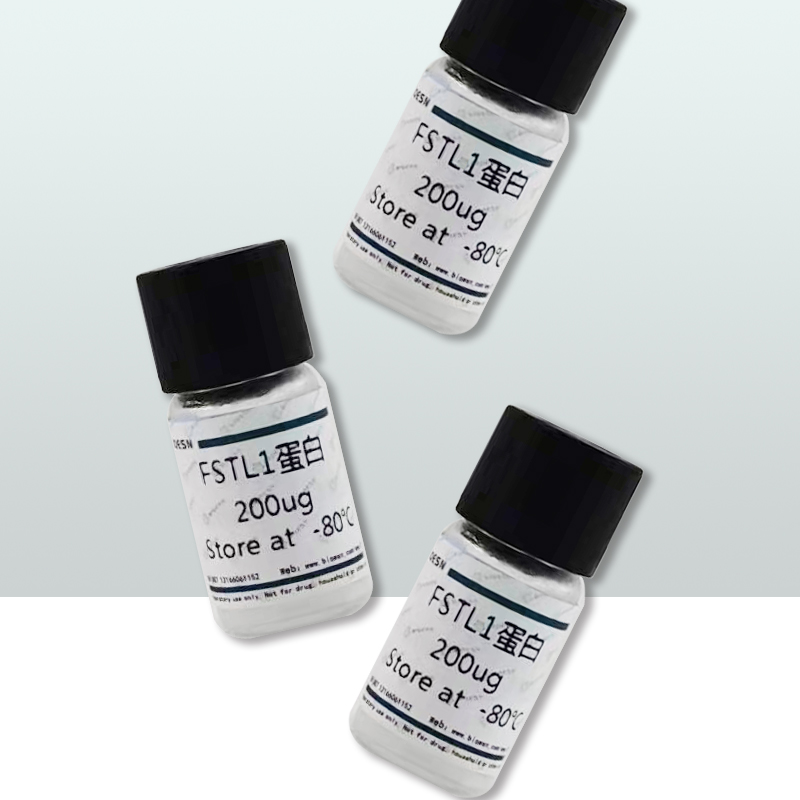 猪间隙连接蛋白43(CX43) ELISA Kit