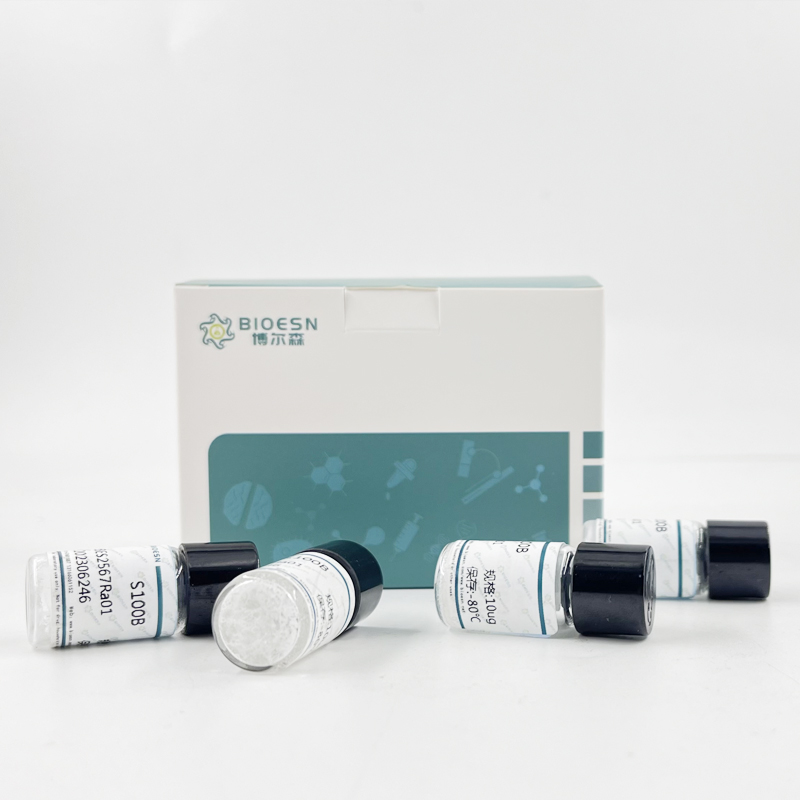 猪血管生成素1(ANGPT1) ELISA Kit