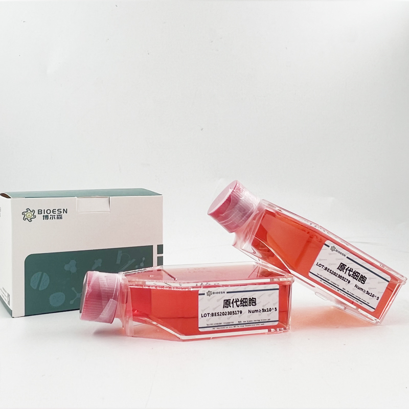 Human嘌呤霉素敏感性氨肽酶(PSA) ELISA Kit