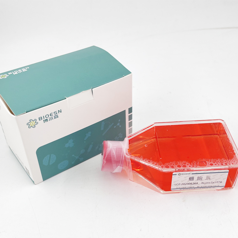 Human钠氯协同转运蛋白(NCCT) ELISA Kit