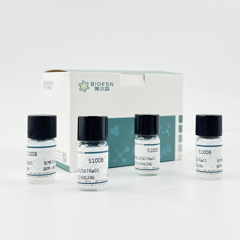 HCC 94 [HCC941122]（人子宫鳞癌细胞（高分化））