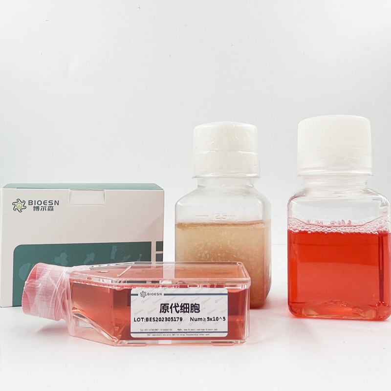 Human过氧化还原酶2(PRDX2) ELISA Kit