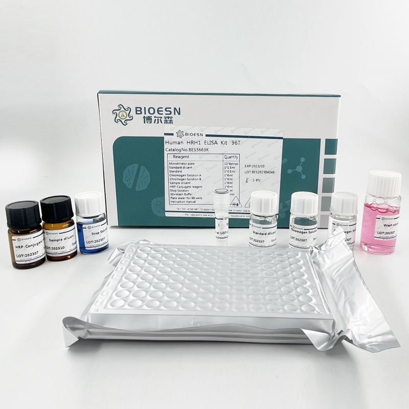 Human胸苷嘧啶DNA糖基化酶(TDG) ELISA Kit