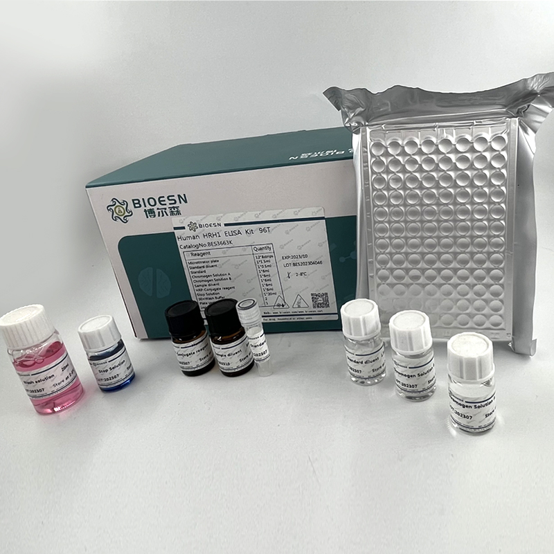 Human肝配蛋白A4(EFNA4) ELISA Kit