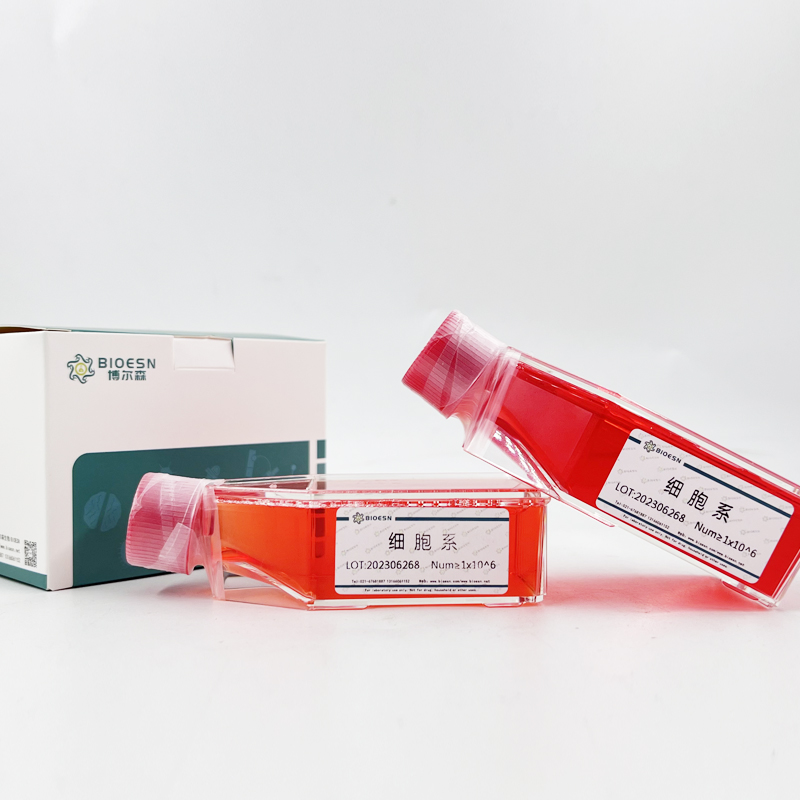 Human赖氨酰氧化酶(LOX) ELISA Kit