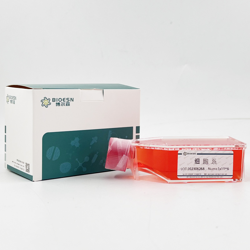 Human含血管性血友病因子A域蛋白2(vWA2) ELISA Kit