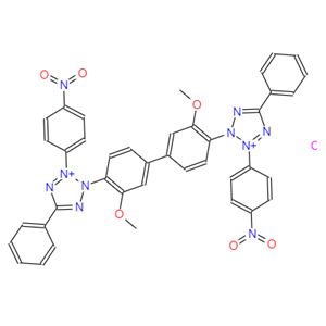 氯化硝基四氮唑兰，NBT，298-83-9
