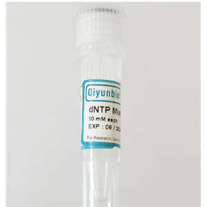 dGTP（100mM）