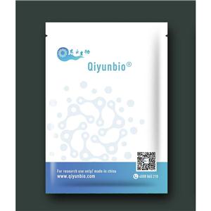 高保真酶预混液