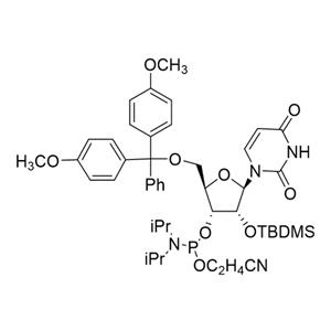 5'-O-(4,4-二甲氧基三苯甲基)-2'-O-[(叔丁基)二甲基硅基]尿苷-3'-(2-氰基乙基-N,N-二异丙基)亚磷酰胺 5级