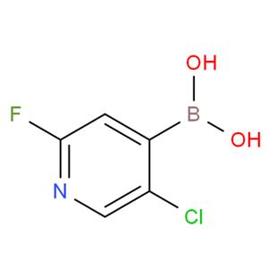2-氟-5-氯吡啶-4-硼酸