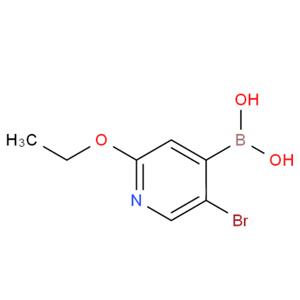 5-溴-2-乙氧基砒啶-4-硼酸